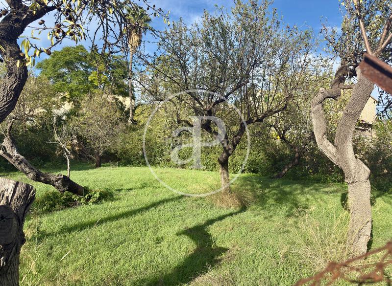 Foto c3e98c62-7df5-4198-9e22-6f37ec16ca94. Terreno residencial en Calvià poble Calvià