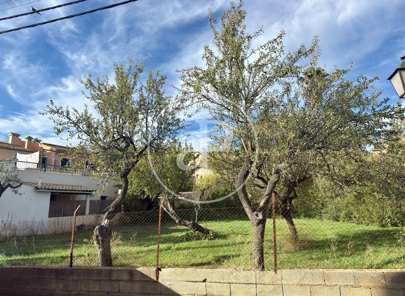 Foto 7ee577e1-7093-45ce-87db-f5ca03426490. Terreno residenziale in Calvià poble Calvià