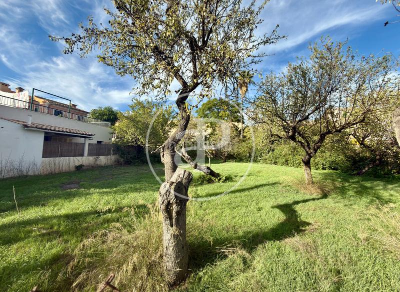 Foto e071dc60-6321-4e74-a6d8-0beef7ca625d. Terreno residenziale in Calvià poble Calvià