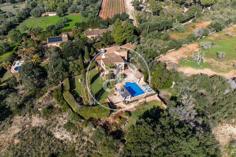 Foto a867f318-eb31-4a80-a397-8c07e74e8153. Masía casa en venta en S´Horta - Cas Concos des Cavaller - Es Carritxó Felanitx