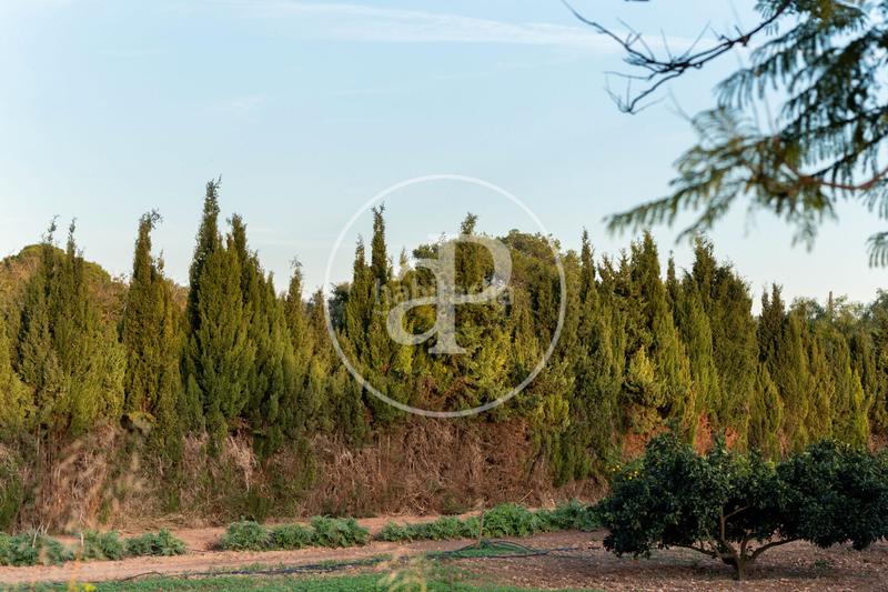 Foto 97780dcd-d273-4a47-924a-3e801f990040. Alquiler casa  en alquiler en Son Verí en Son Verí Llucmajor