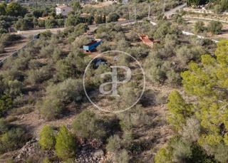 Residential Plot  Disseminat puntiro