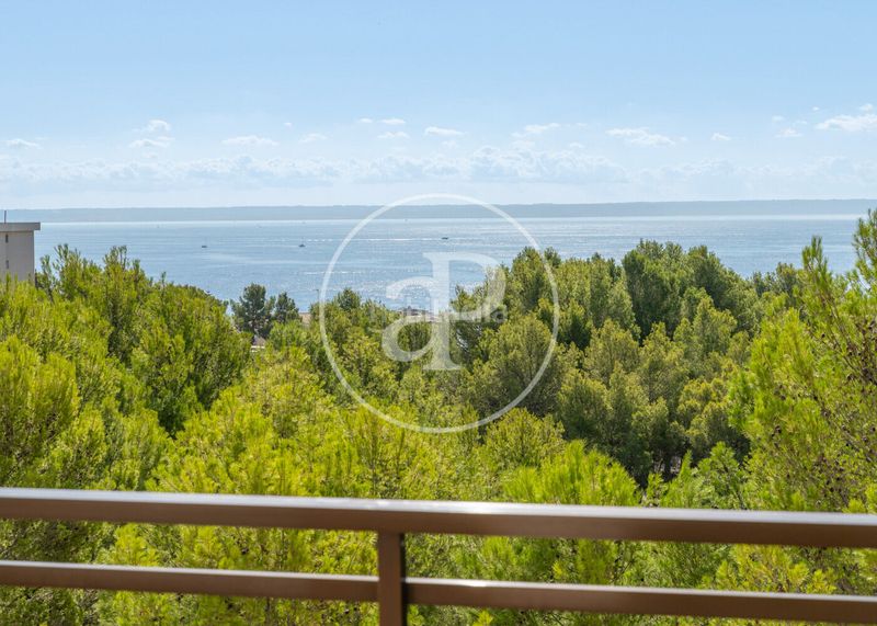Foto be97e88c-46a2-4cbf-8c55-7ae1a4117f50. Pis amb calefacció aparcament a Cas Català-Illetes Calvià