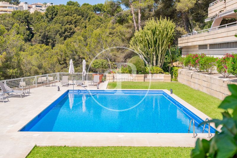 Foto a3b0b752-50b4-40e3-83b6-16c5c6652b0a. Àtic amb calefacció aparcament piscina a Cas Català-Illetes Calvià
