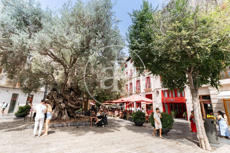 Foto da513cd8-03a0-4f97-8de8-ea6378d30b35. Pis amb calefacció a Cort Palma de Mallorca