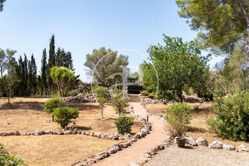 Foto 5a5f5f04-b8e1-408e-80d8-22d489521006. Casa amb calefacció aparcament piscina a Algaida