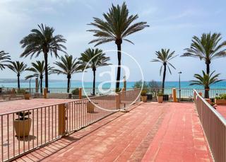 Flat  Carrer del llaüt. Piso en venta en primera línea de la playa de palma con vistas a