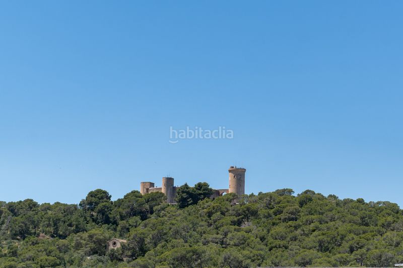Foto 9a2b072d-36e4-4577-8527-794a66d7ceb2. Angebot Son Armadans in Palma de Mallorca. Wohnungen von Neubauten