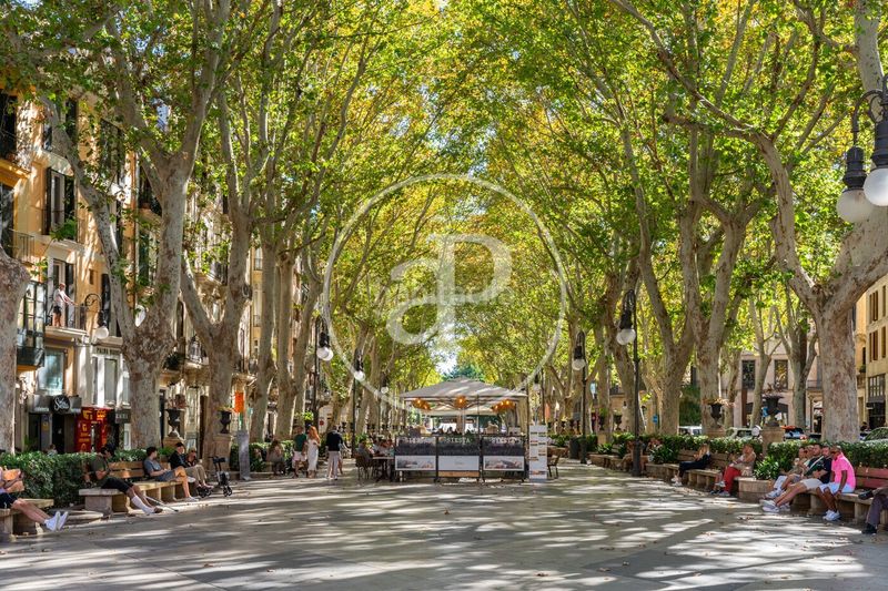 Foto 059421a8-47f2-4bab-90ae-bf0fa6b8251a. Promoción Son Cotoner en Palma de Mallorca. Edificio viviendas de obra nueva