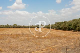 Terreno residenziale in Son Lladó Polígon 19 polígonoo 19 parcela 721