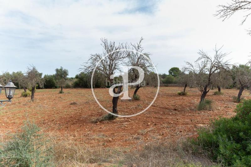 Foto a9f60bcb-ee86-4984-a608-b5c26d85536f. Location maison avec chauffage parking piscine dans Sencelles