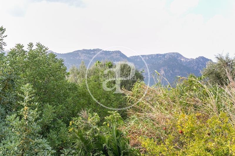 Foto 45b75177-1eb8-42ef-93e2-2018c901b92c. Terreno residencial en carrer d'orient 36 en Bunyola