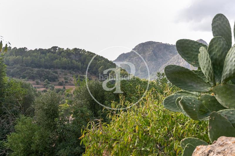 Foto e864e73e-8bdf-4421-8137-1a4571d0dfcb. Terreno residencial en carrer d'orient 36 en Bunyola