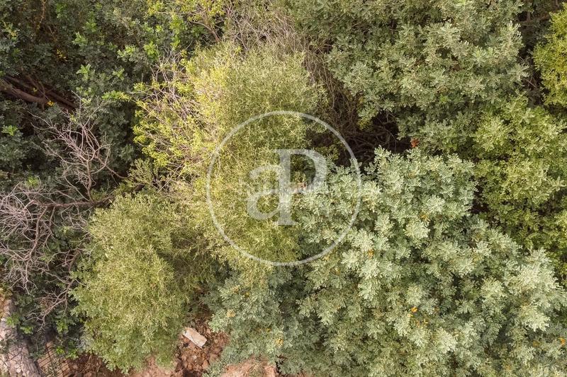 Foto eb8ad5f4-fae7-4256-a3b5-9b04789aae20. Terreno residencial en carrer d'orient 36 en Bunyola