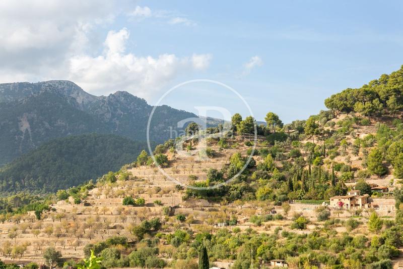 Foto f24972e0-cf7a-448c-b95f-d0310200bc73. Terreno residencial en carrer d'orient 36 en Bunyola