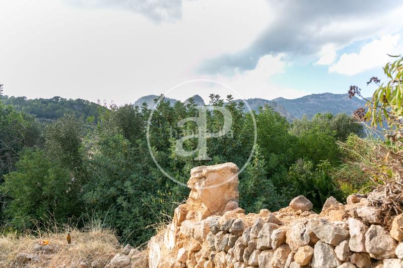 Foto 1a89146f-d1f1-491c-9dde-64bc42b280ec. Terreno residenziale in carrer d'orient 36 in Bunyola