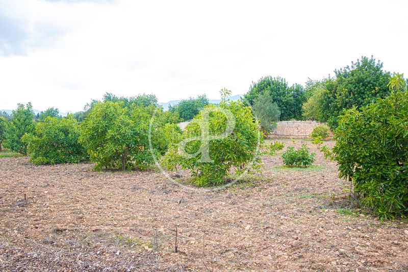 Foto c841047a-284c-4847-80ce-55ebf2142918. Casa amb aparcament piscina a Son Sardina Palma de Mallorca