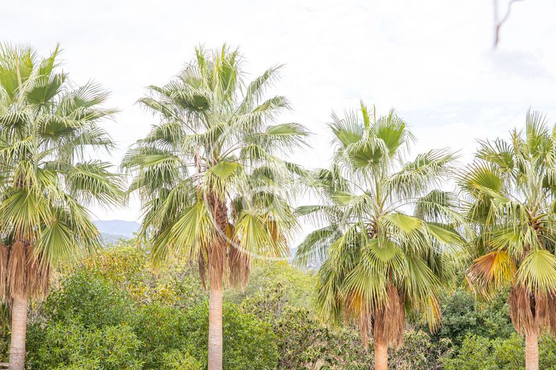 Foto fa4e9c61-57a5-48f8-8725-c7296e4240b9. Casa amb aparcament piscina a Son Sardina Palma de Mallorca