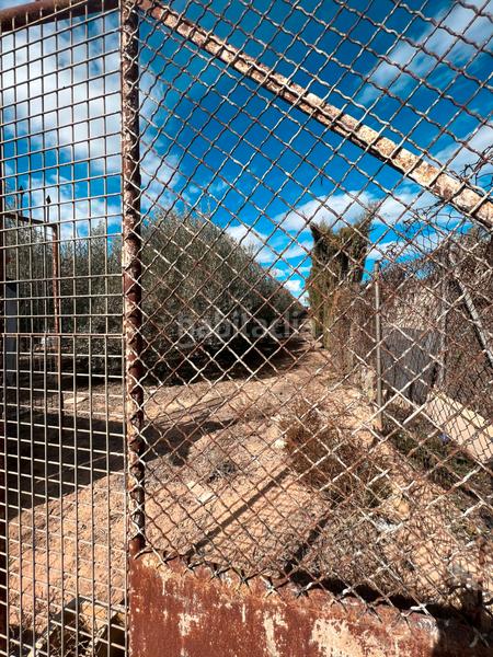 Foto 2ef3429b-4420-4bc1-afdd-928bd31e972b. Finca rústica ref 50288 terreno rustico con cuarto de aperos en Murcia