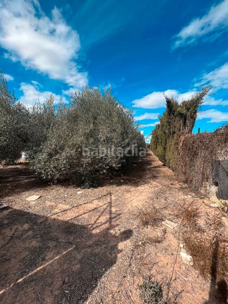 Foto 714017fd-5d3c-4aa4-9c66-2aed43daf030. Finca rústica ref 50288 terreno rustico con cuarto de aperos en Murcia