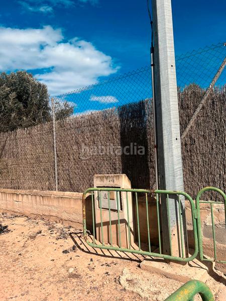 Foto 86bfca03-13c7-4f36-b8ec-b971daf3bf4e. Finca rústica ref 50288 terreno rustico con cuarto de aperos en Murcia