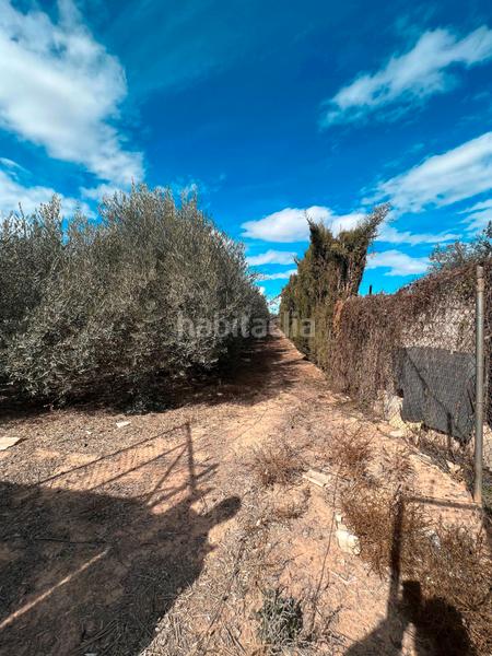 Foto aba849be-514e-4587-af0e-84885324d8e1. Finca rústica ref 50288 terreno rustico con cuarto de aperos en Murcia