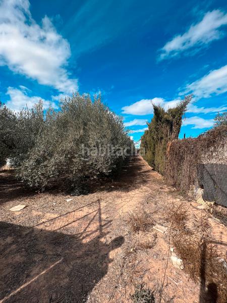 Foto b87ed397-dea8-453f-97ac-d9433f427783. Finca rústica ref 50288 terreno rustico con cuarto de aperos en Murcia