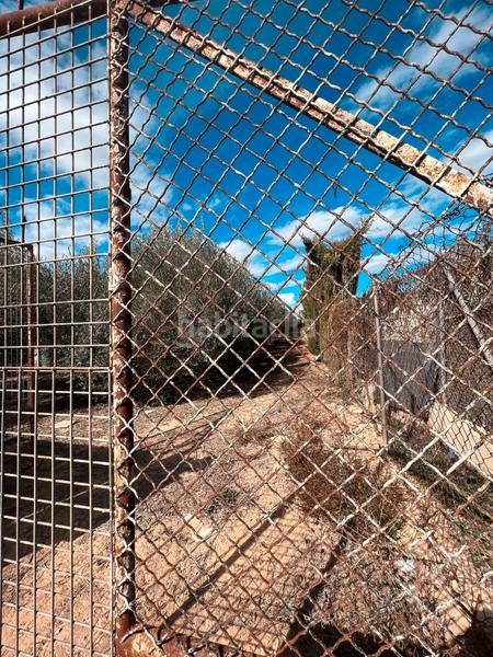 Foto d4fcf9a0-2701-4ab6-9ea8-72a3a187207d. Finca rústica ref 50288 terreno rustico con cuarto de aperos en Murcia