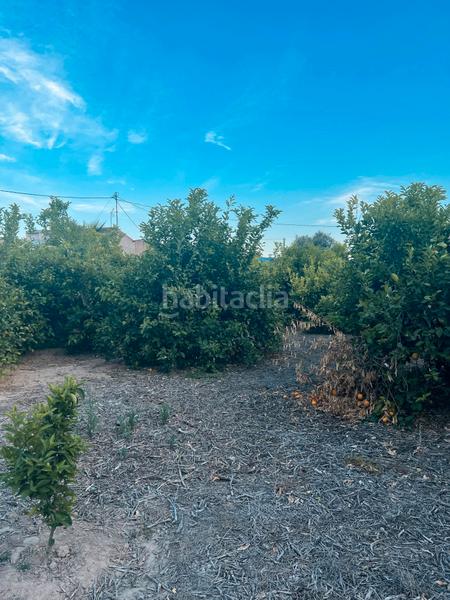 Foto 21d6b14d-ec04-48b0-9180-e15bcf5c39ff. Rural plot in Era Alta Murcia