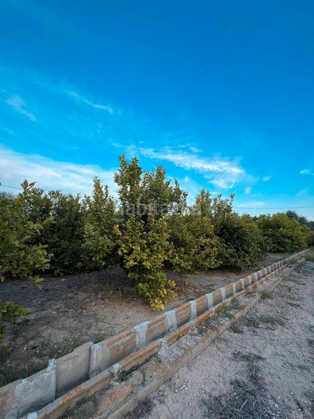 Foto 3e249b5f-8f76-4c45-b5f2-925caf340553. Rural plot in Era Alta Murcia