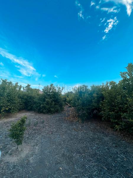 Foto 465f97ee-58cc-46ed-b4b4-2d96304c0dd5. Rural plot in Era Alta Murcia