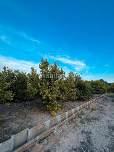 Foto 7c9b6d47-546f-46f5-b30b-fde71ed9060b. Rural plot in Era Alta Murcia