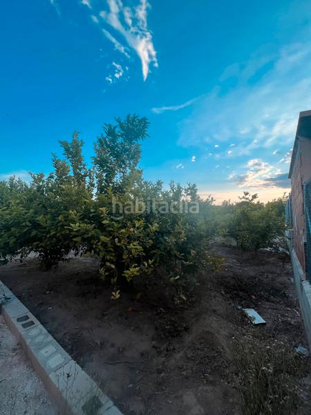 Foto 932bcced-1de3-4cb3-81fb-9e0f3f46860a. Rural plot in Era Alta Murcia