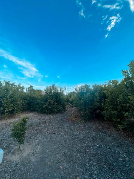 Foto b0a88ff8-9651-4004-904d-aa73d1223140. Rural plot in Era Alta Murcia