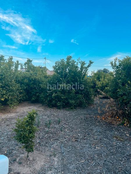 Foto c5cb4afb-9938-46db-b550-579a0faa6cc4. Rural plot in Era Alta Murcia