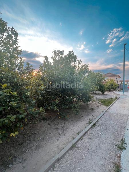 Foto ceaa661c-e20c-4e51-a4c7-b2ce7b8457b4. Rural plot in Era Alta Murcia