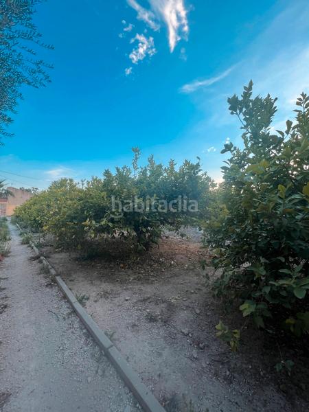 Foto ea2aa918-2ca9-4306-9825-794aa542de42. Rural plot in Era Alta Murcia
