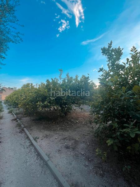 Foto f4b20063-008e-489d-8d19-a8ee6f9d410b. Rural plot in Era Alta Murcia