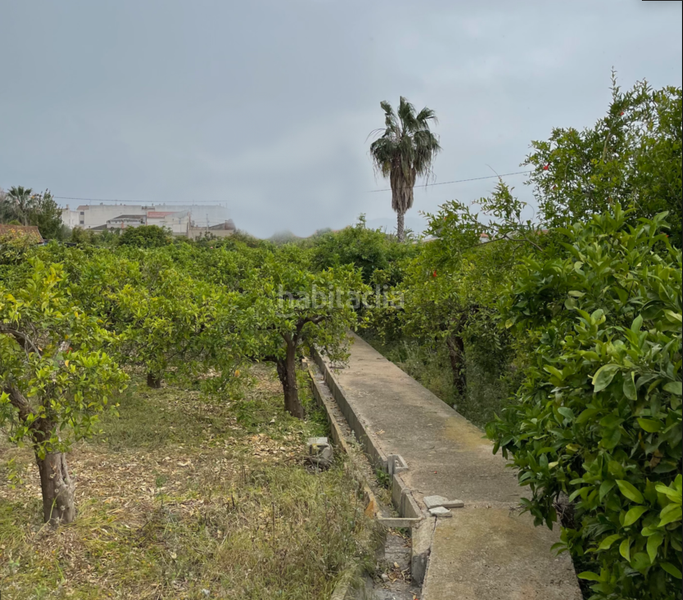 Foto 8acc58bb-2f7e-42e7-92e9-b01cc6bccc52. Mas dans carretera Puebla de Soto 41 dans Puebla de Soto Murcia