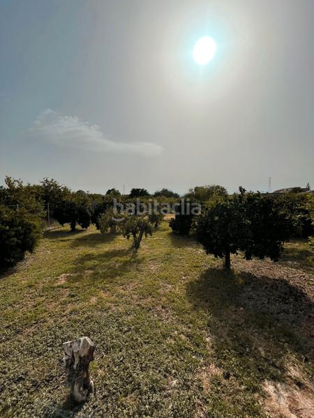 Foto a4a8eed5-7b92-413f-84de-05d4f3d6dc38. Rural plot in Los Ramos Murcia