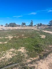 Rural plot in Lorquí. Finca rústica de regadío en huerta palacios, lorquí (murcia)