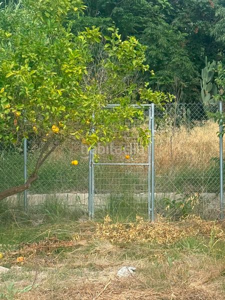 Foto 9280d1c1-245b-4a46-a74c-e70c6301a583. Finca rústica a Rincón de Beniscornia Murcia