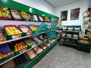 Business premise in Centro