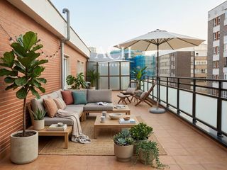 Location Appartement  Calle julio urquijo. Estudiantes, estupendo piso en deusto