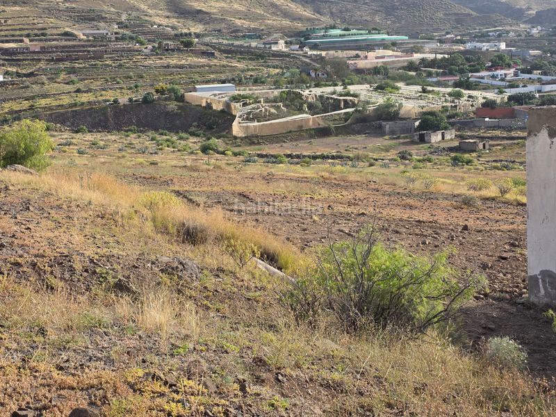 Foto e41cdcfd-e68a-4856-816a-4a4e1d87eaf4. Finca rústica a lugar barranco del roque 6 a Agüimes - temisas Agüimes