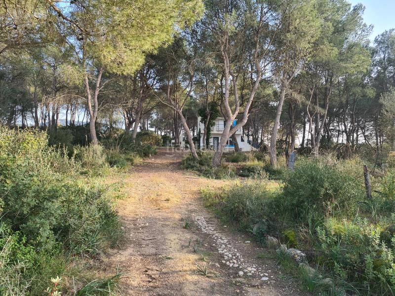 Foto 84b84525-b267-4764-8b98-86cb6756670f. Finca rústica en Algaida