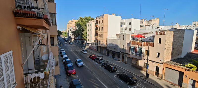 Foto eaabfcd1-f0b2-4ea4-9681-ed92955b9ae9. Pis a Es Camp Redó Palma de Mallorca