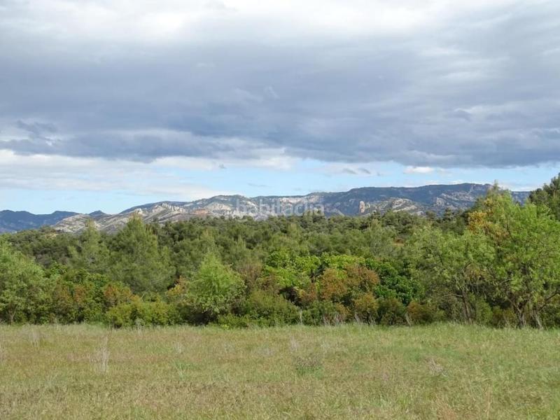 Foto 09a15870-2940-4318-be11-fe24557dd73a. Mas dans Cretas