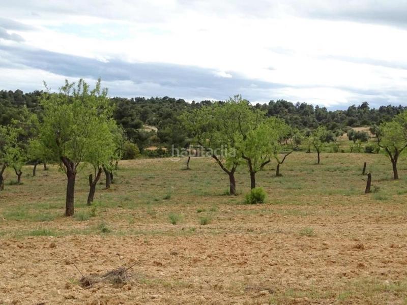 Foto 15dc1e46-dc30-4ec5-81dd-c3f6a14499d9. Mas dans Cretas