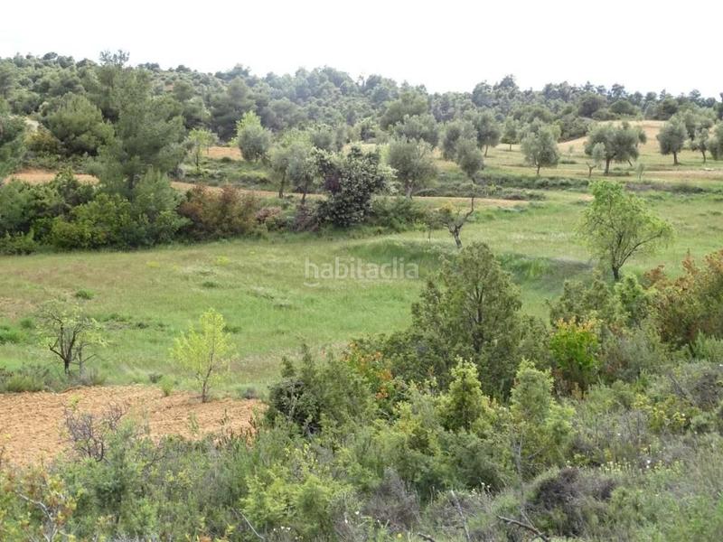 Foto 1f7a2ed1-014e-42d3-963f-d6ad139832e8. Mas dans Cretas